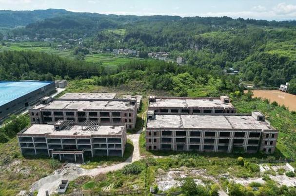 万江农业石柱烂尾工厂流拍背后 806万元“烫手山芋”与担保业务连环风险