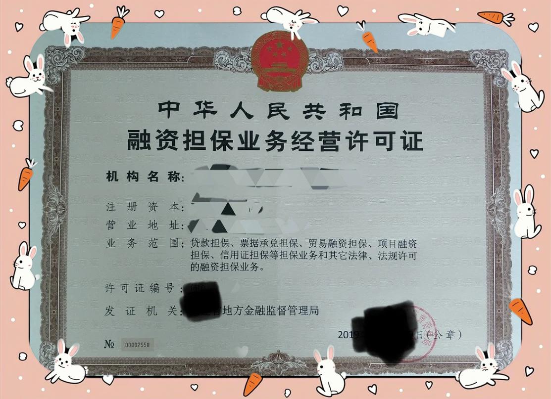 融资担保公司设立全攻略 2023最新指南与担保业务深度解析